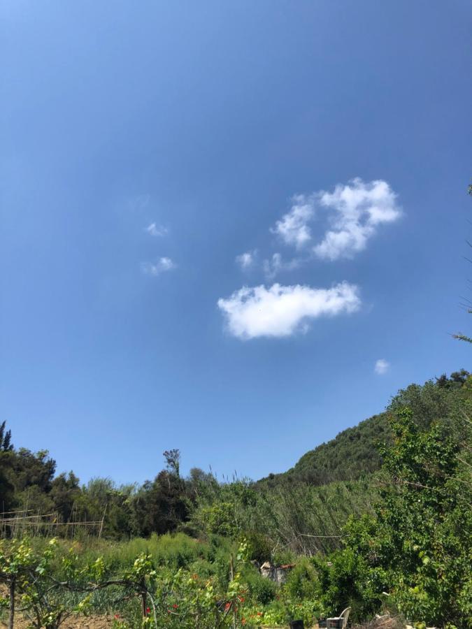 Villa Vasiliki Vitaládesz Kültér fotó